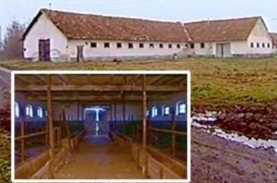 Svjedočenje u NIN-u: U Srbiji su postojali logori, a ne sabirni centri